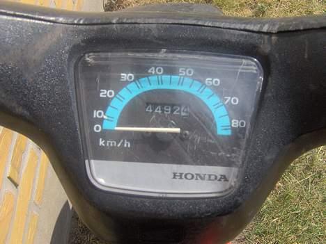 Honda wallaroo billede 5