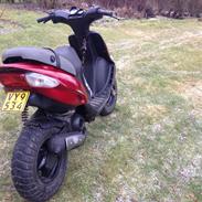 Gilera Stalker (Solgt. Hot 50 købt for pengene)