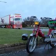 Piaggio Vespa Bravo (Tidl. Knallert)