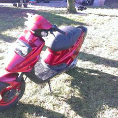 PGO Hot 50
