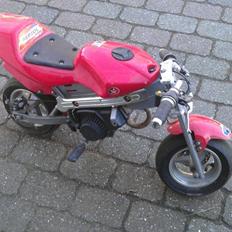 MiniBike Pocketbike