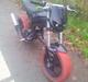 Suzuki street magic