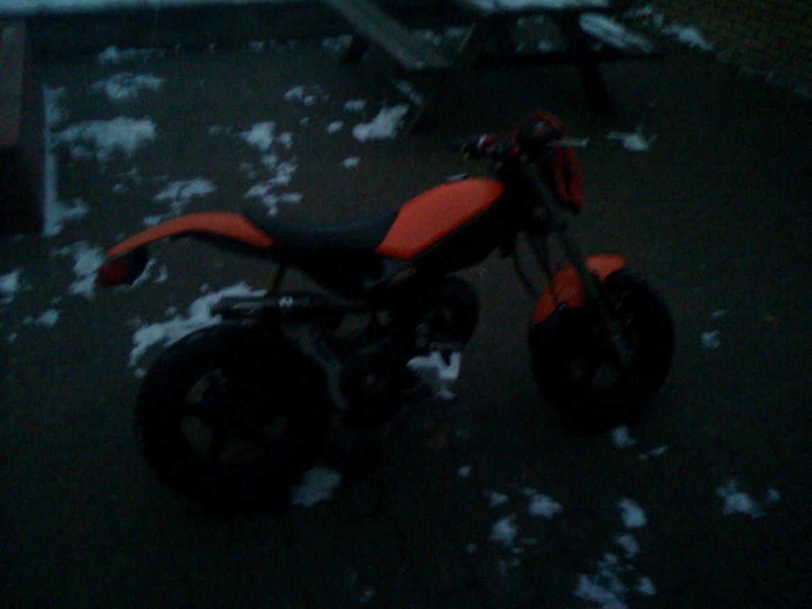 Suzuki Street magic billede 9