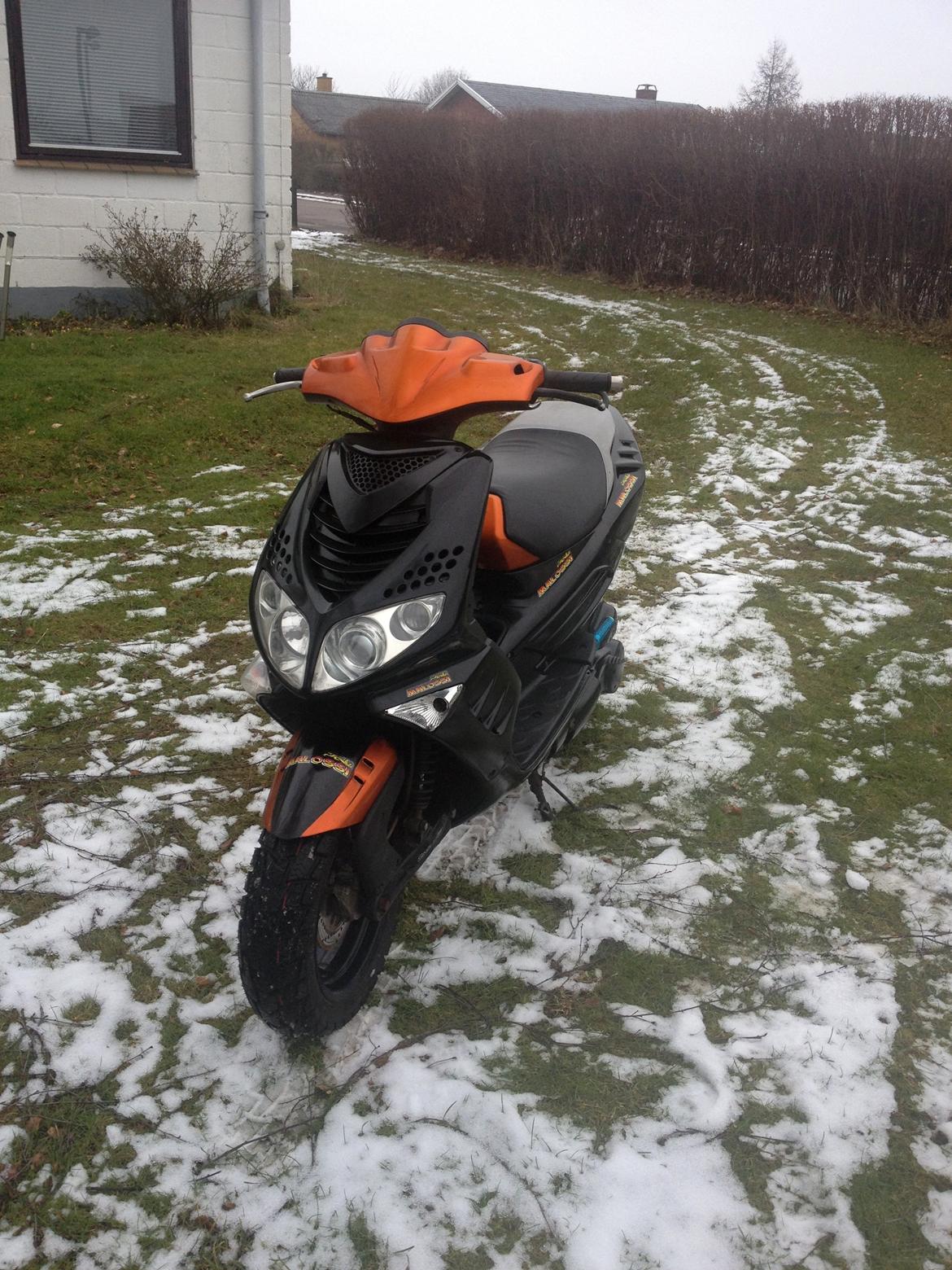 Peugeot Speedfight 2 billede 11