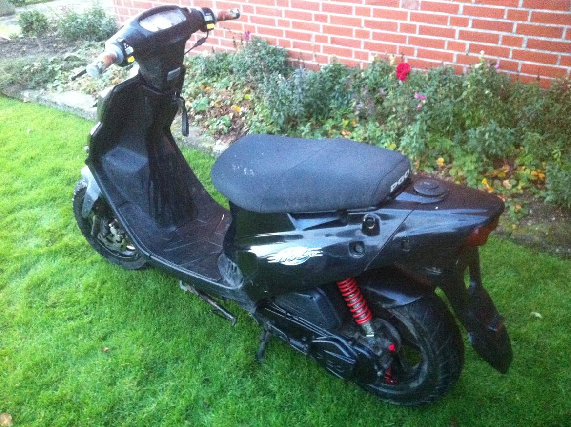 PGO Hot 50 billede 11