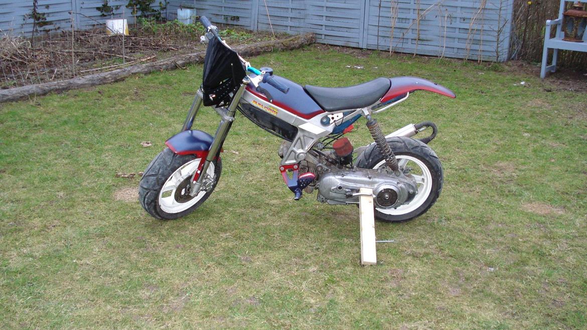 Suzuki street magic billede 13