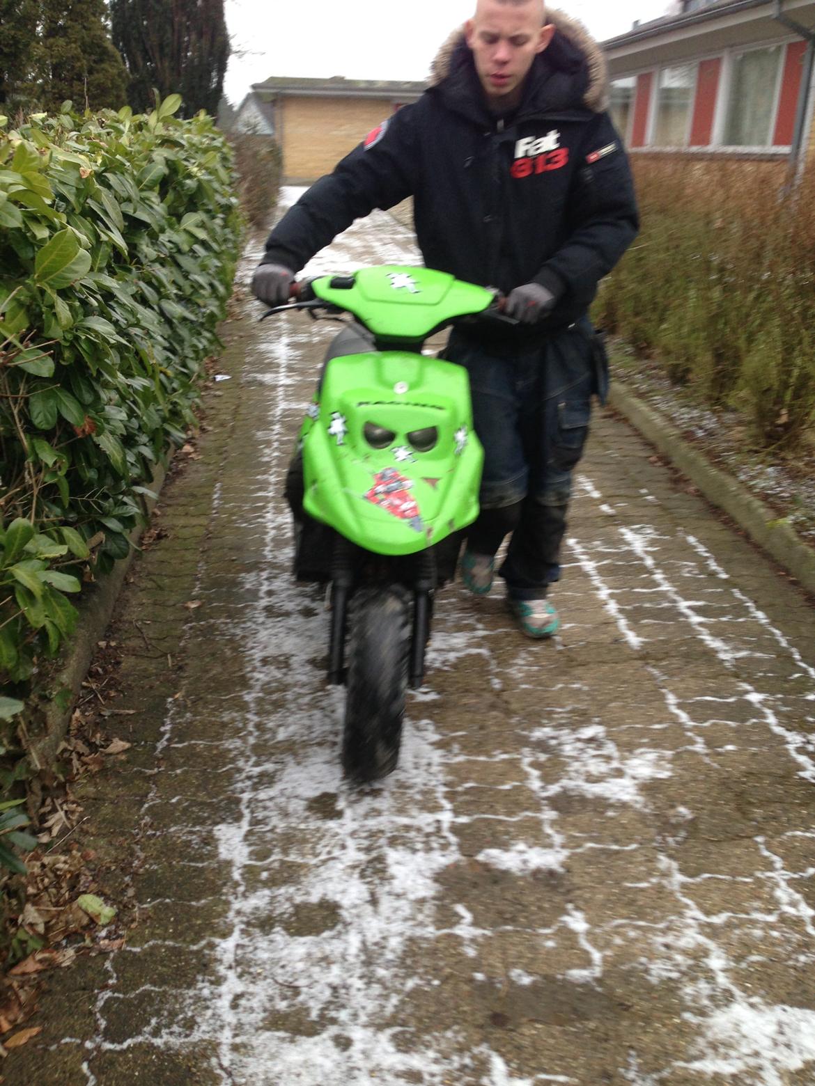 PGO hot 50 det grønne lyn :-D - Såden ser den ud nu billede 1