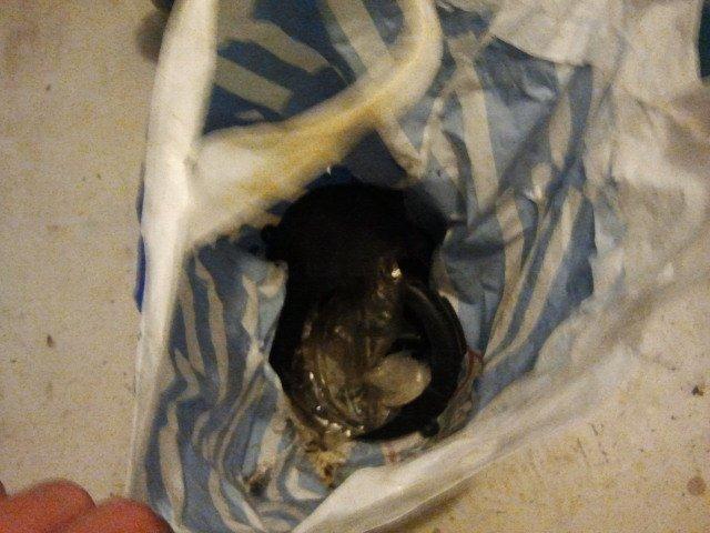 Vespa piaggio ciao billede 13