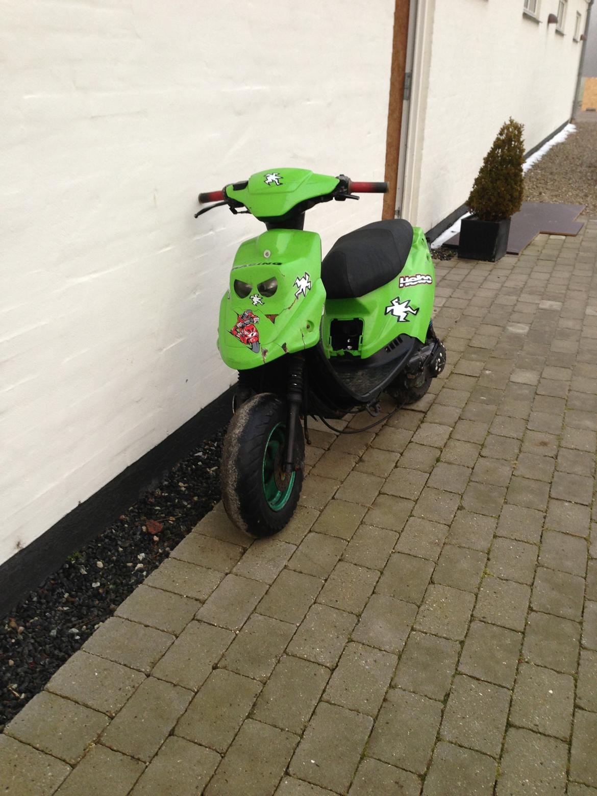 PGO hot 50 det grønne lyn :-D billede 18