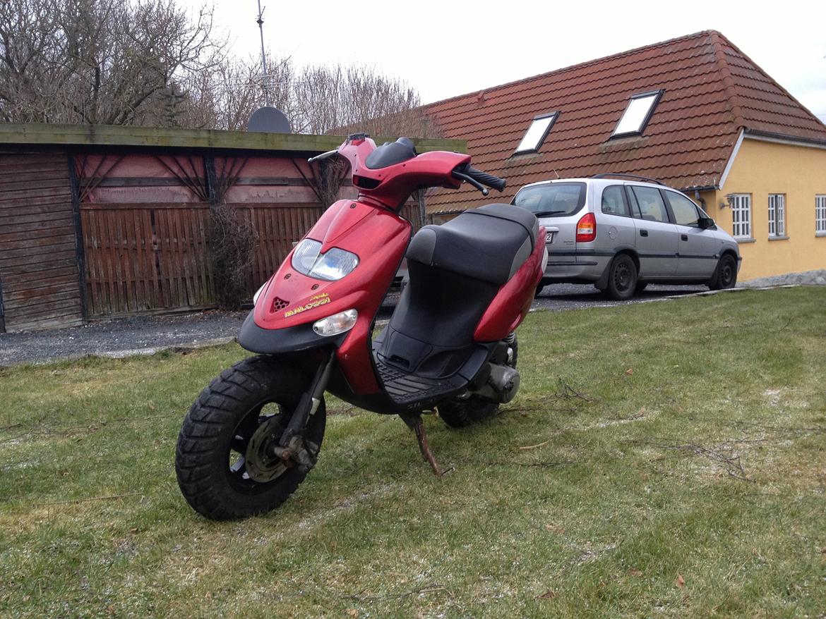 Gilera Stalker (Solgt. Hot 50 købt for pengene) billede 3