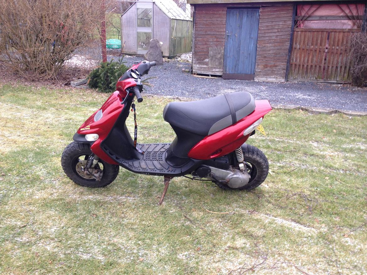 Gilera Stalker (Solgt. Hot 50 købt for pengene) billede 4