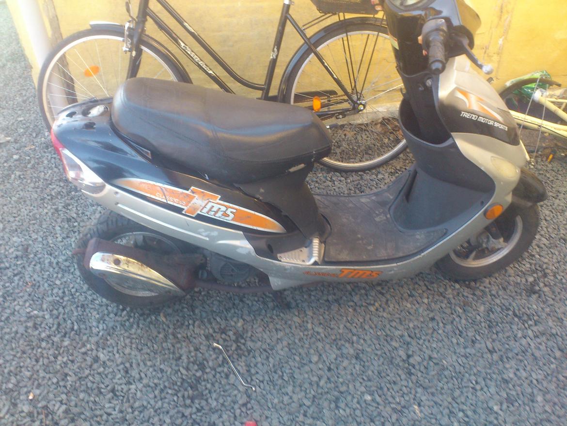 TMS classik 50 soldt billede 2