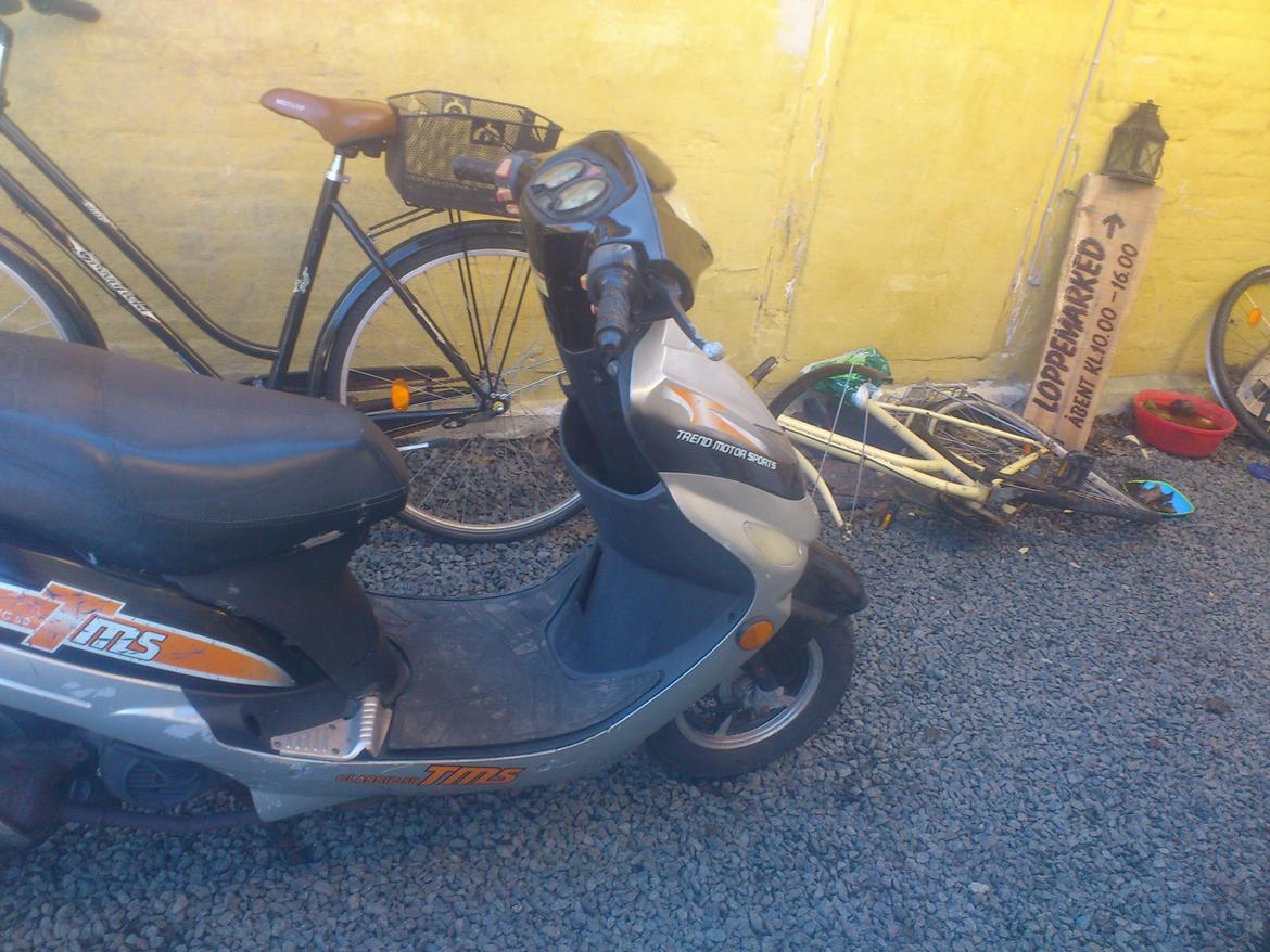 TMS classik 50 soldt billede 3