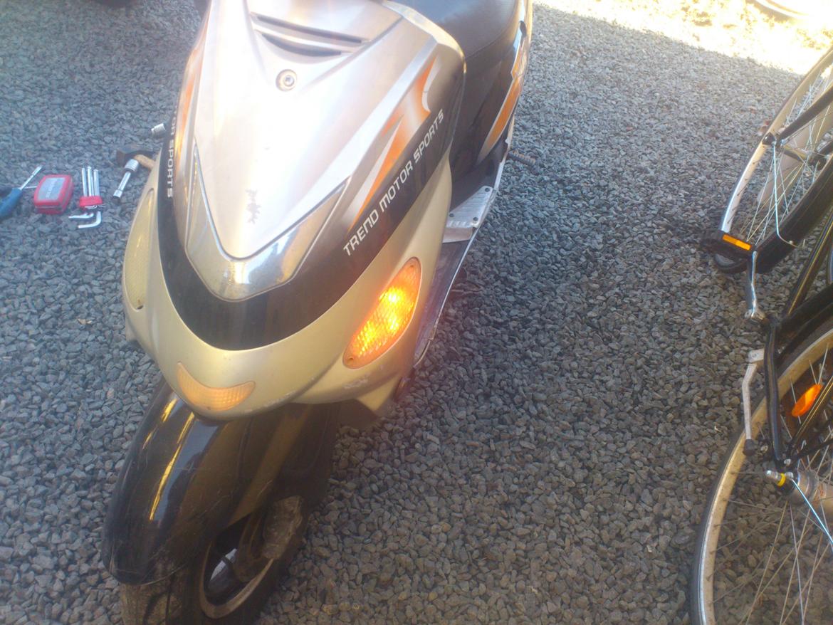 TMS classik 50 soldt billede 11