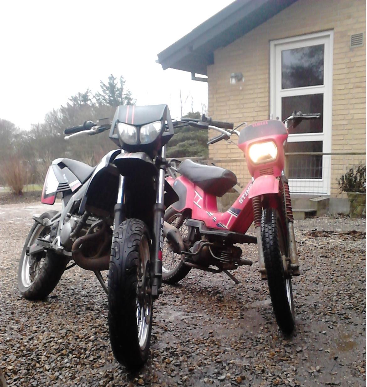 Gilera smt   (Jonna) - jonna og æ sting  billede 8