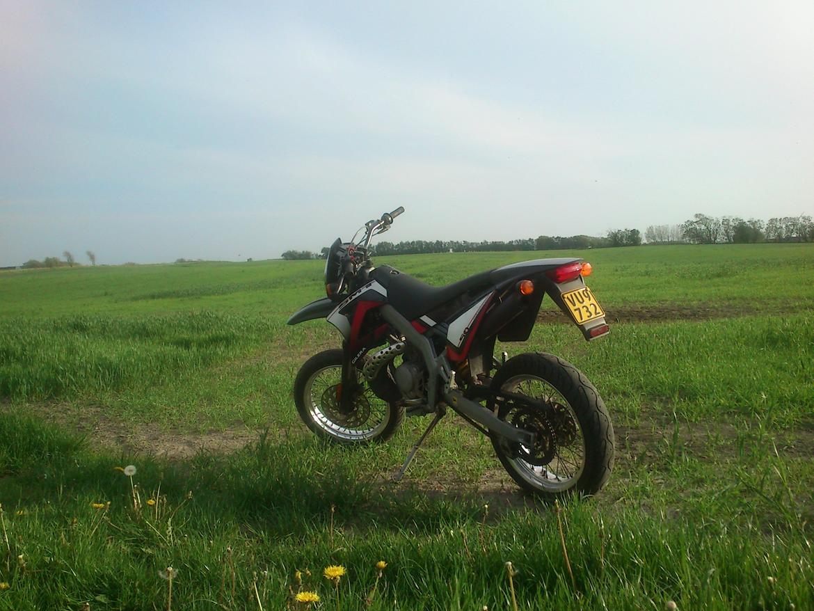 Gilera smt   (Jonna) - jomfurtureneren den allerførste dag jeg hentede hende kærlig ved første blik <3 billede 5