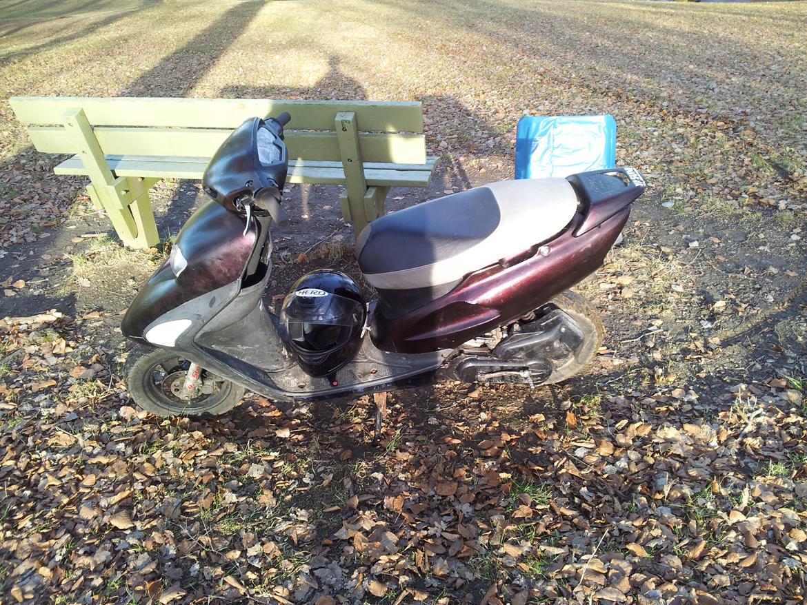 Honda SFX billede 1