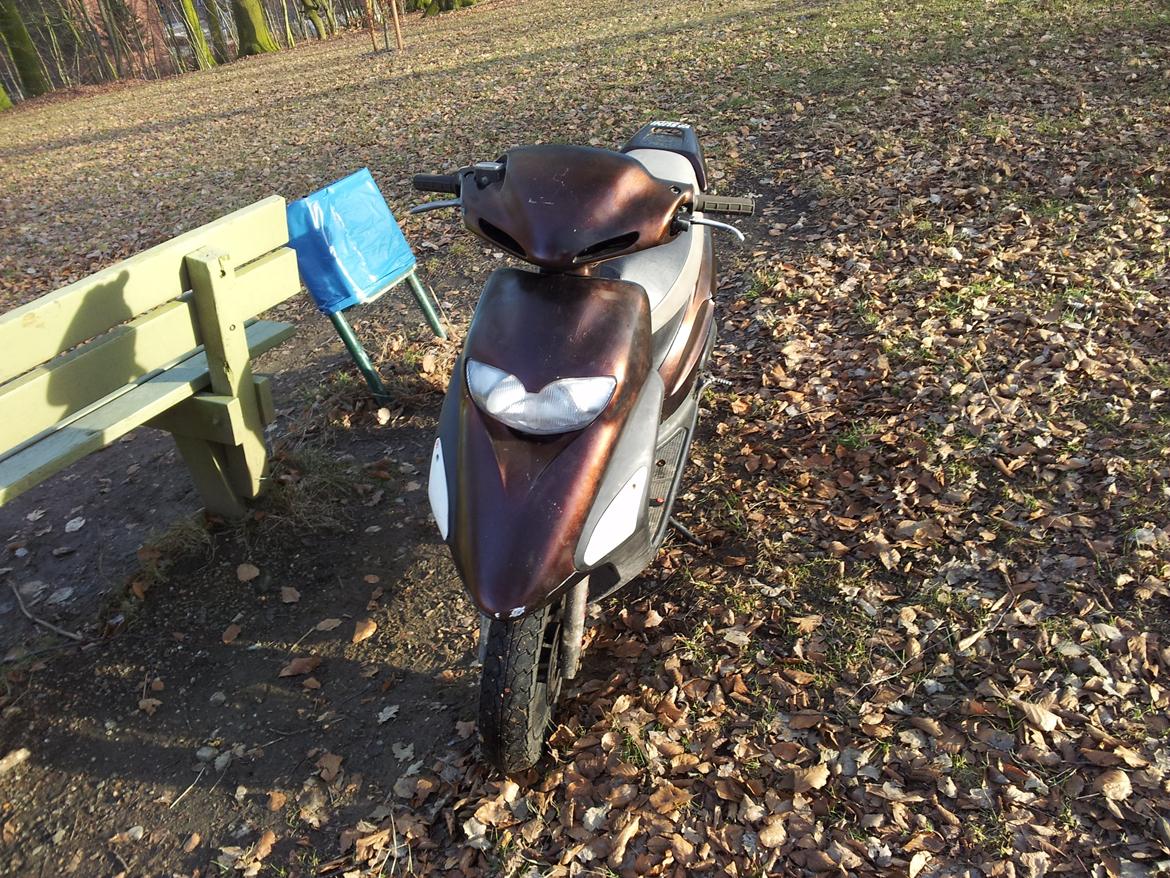Honda SFX billede 2