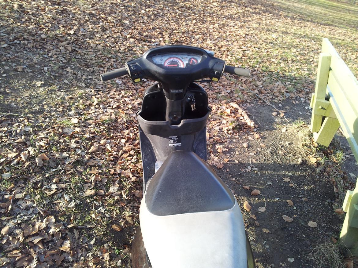 Honda SFX billede 3