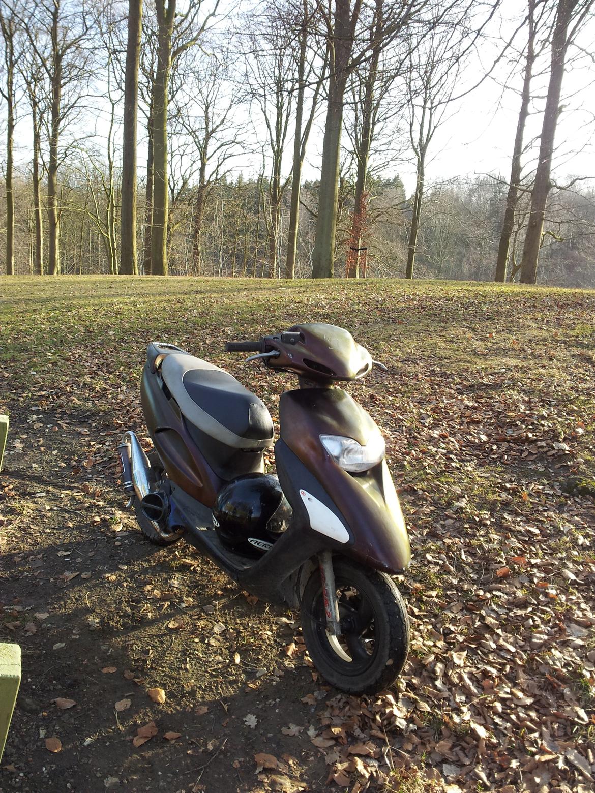 Honda SFX billede 6