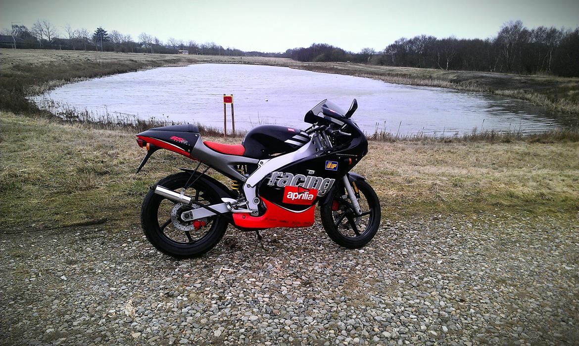 Aprilia RS 50 LC ÐÐ billede 12
