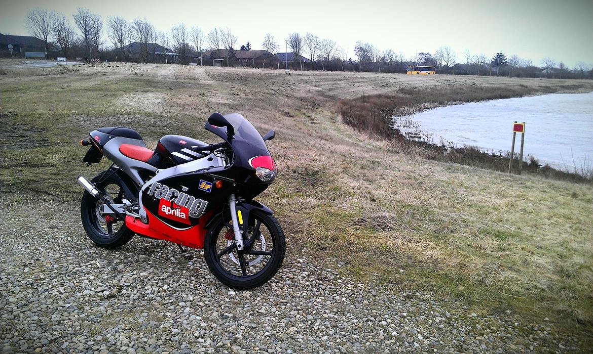 Aprilia RS 50 LC ÐÐ billede 11