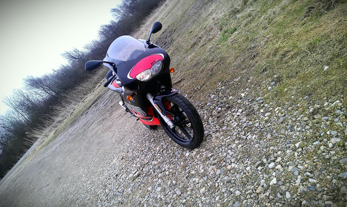 Aprilia RS 50 LC ÐÐ billede 13