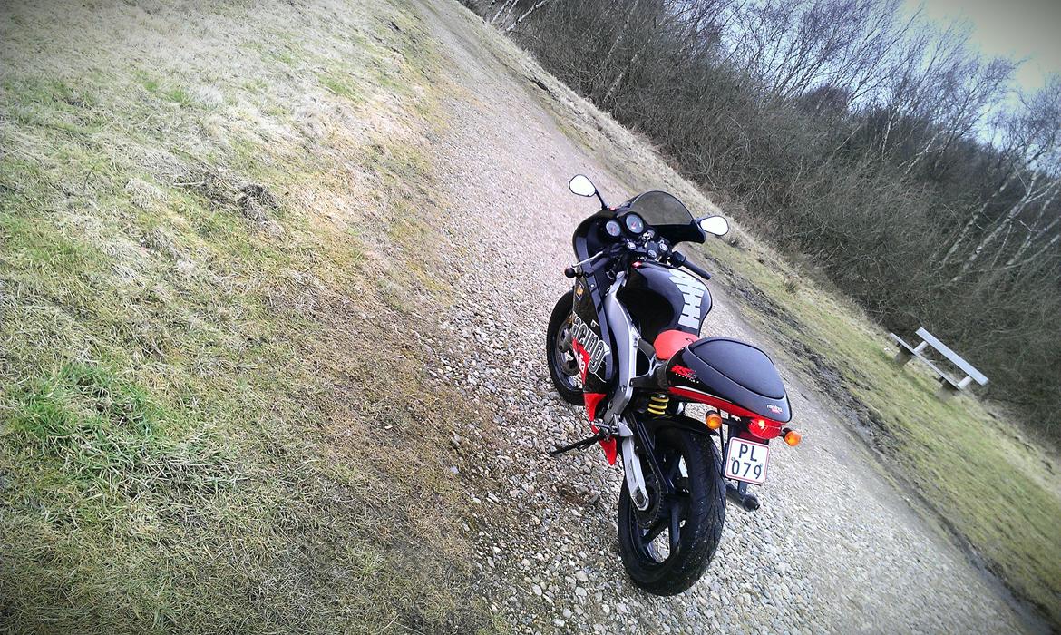 Aprilia RS 50 LC ÐÐ billede 16