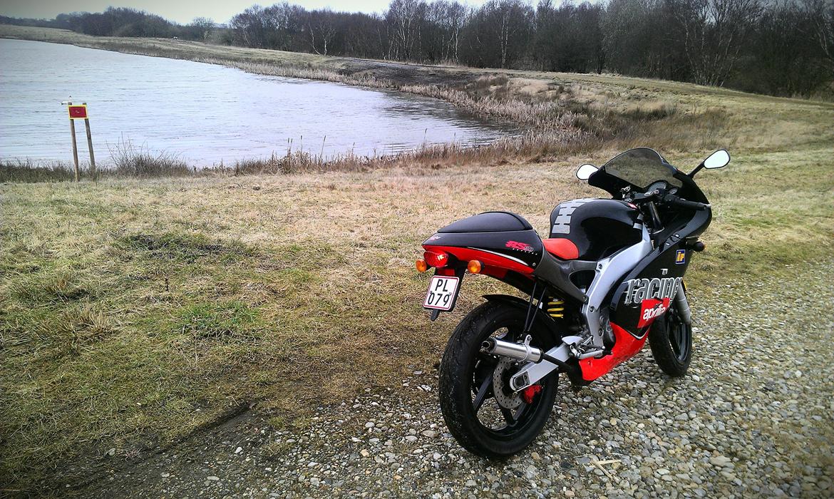 Aprilia RS 50 LC ÐÐ billede 17