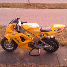 Polini 911 LC Replica