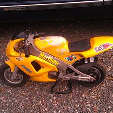 Polini 911 LC Replica