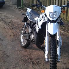 Generic Trigger x 50 (solgt) 