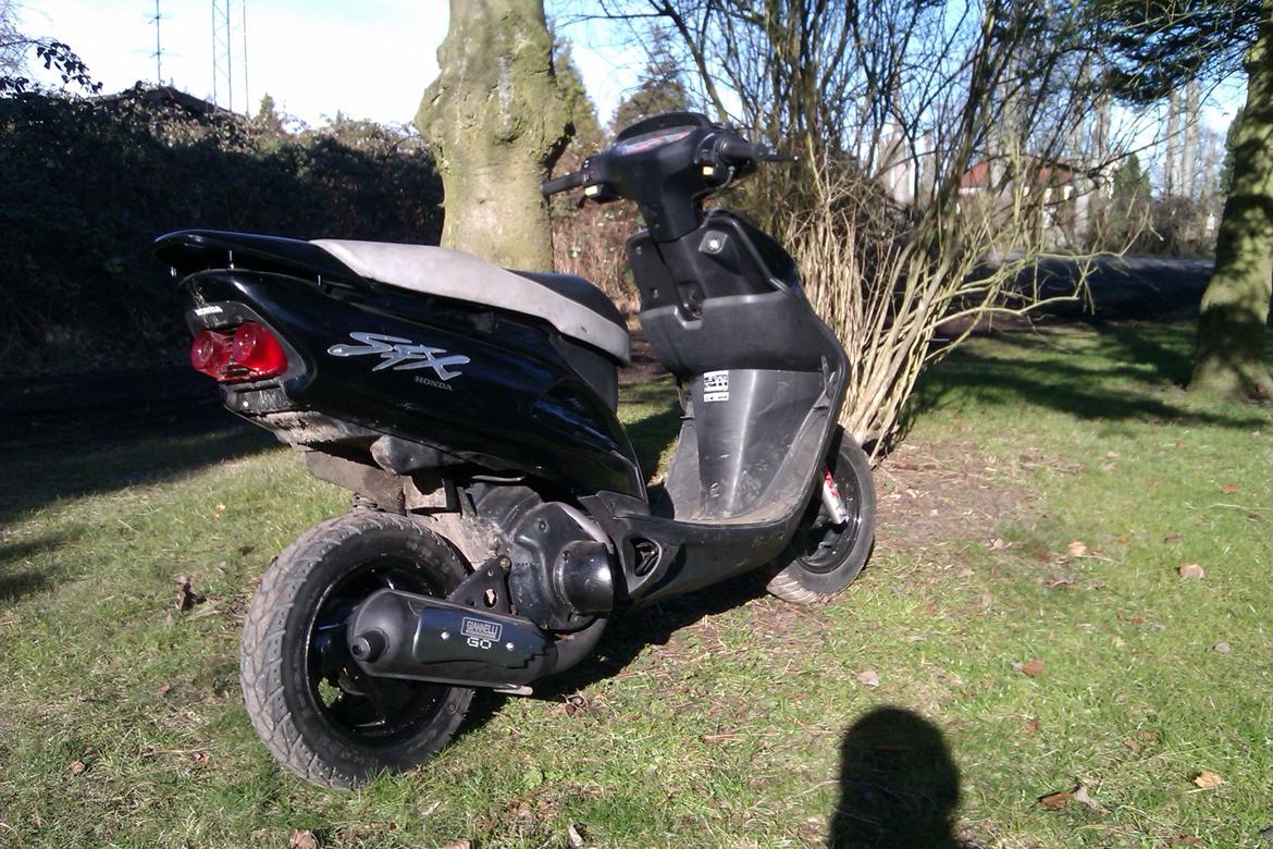 Honda SFX billede 3