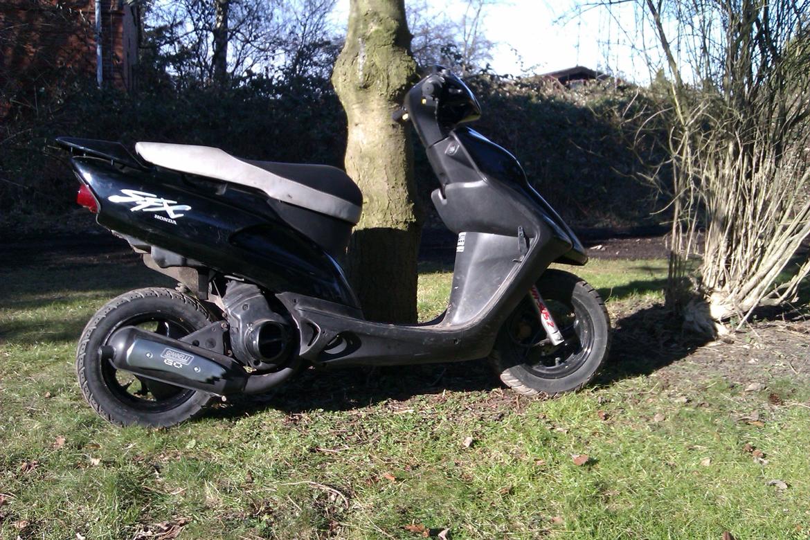 Honda SFX billede 4