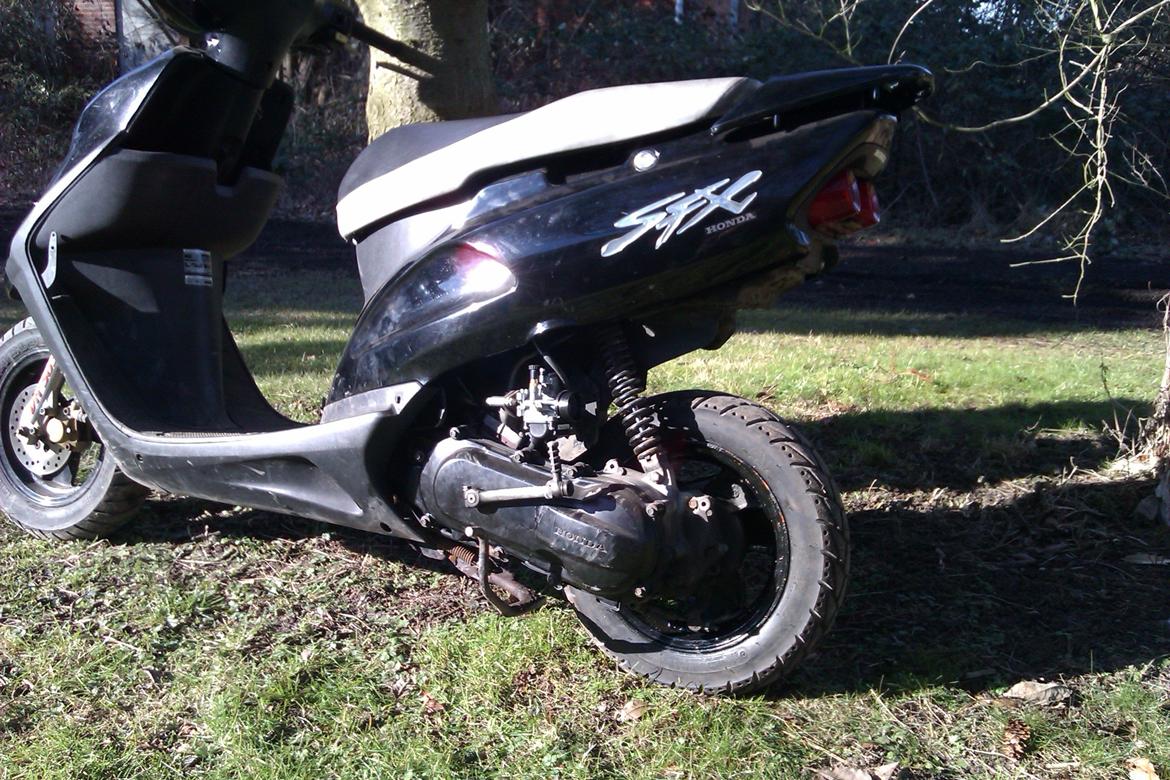 Honda SFX billede 5