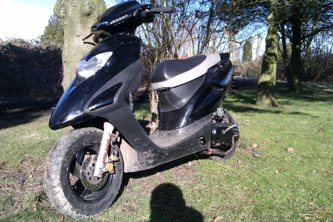 Honda SFX billede 6
