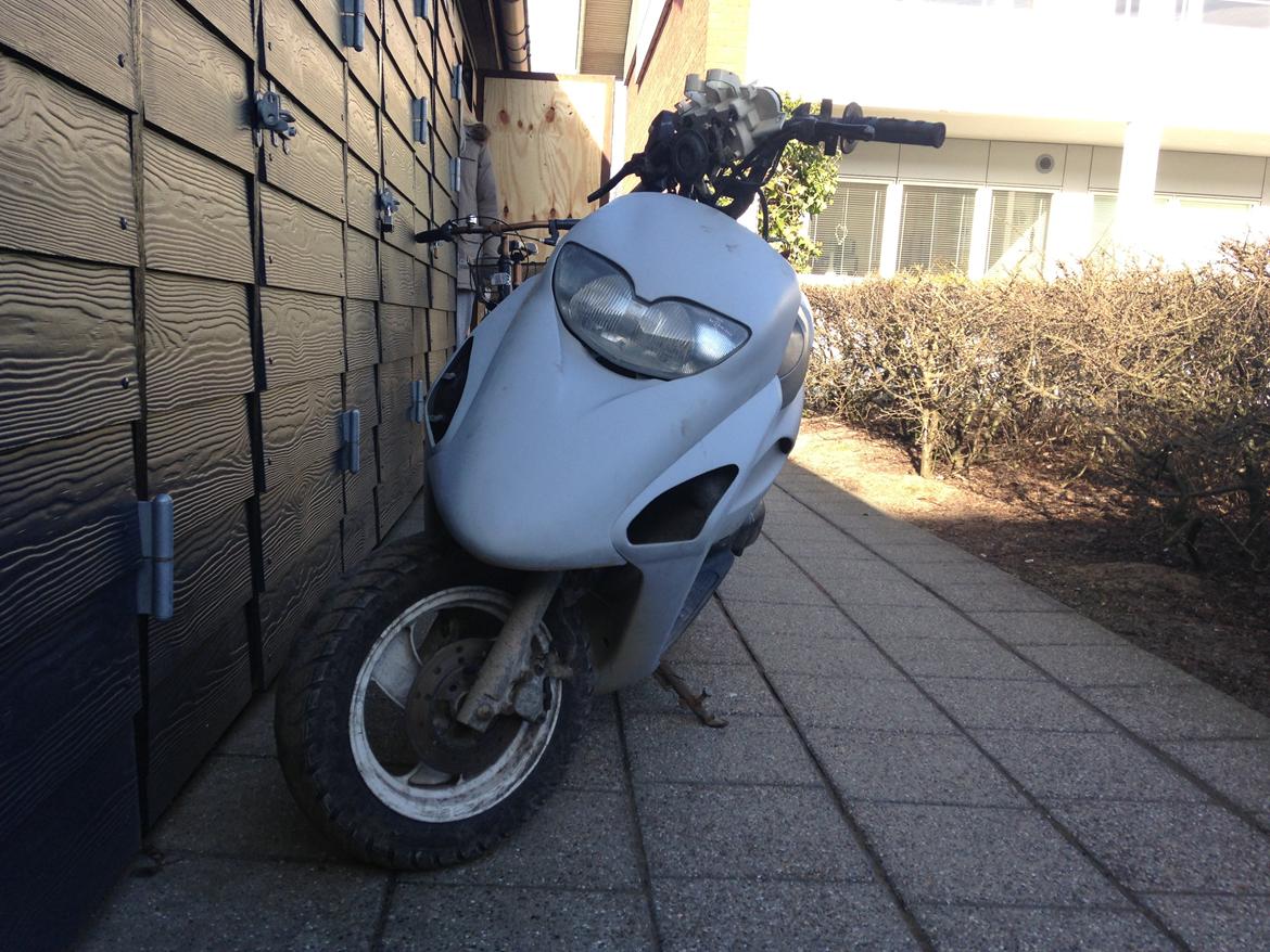 Honda SFX SOLGT billede 6