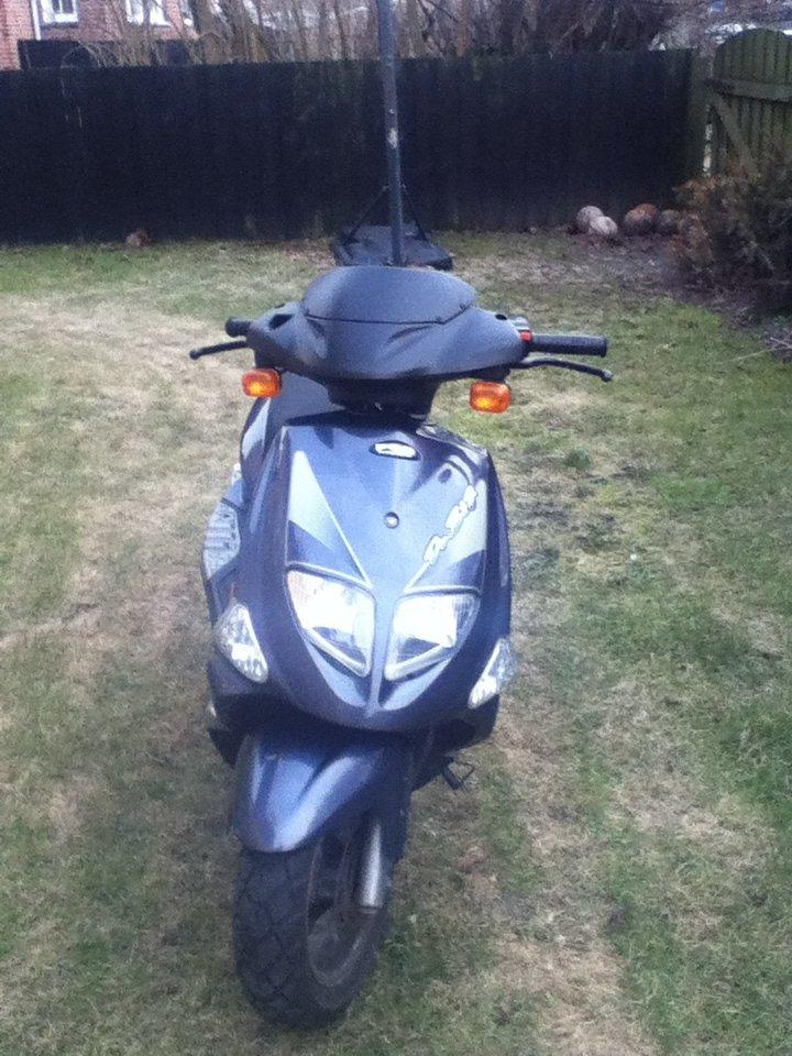 PGO Dr. Big billede 1