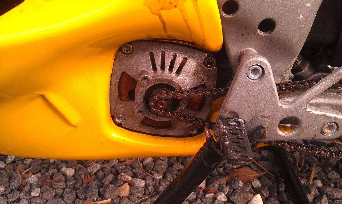 Polini 911 LC Replica billede 12