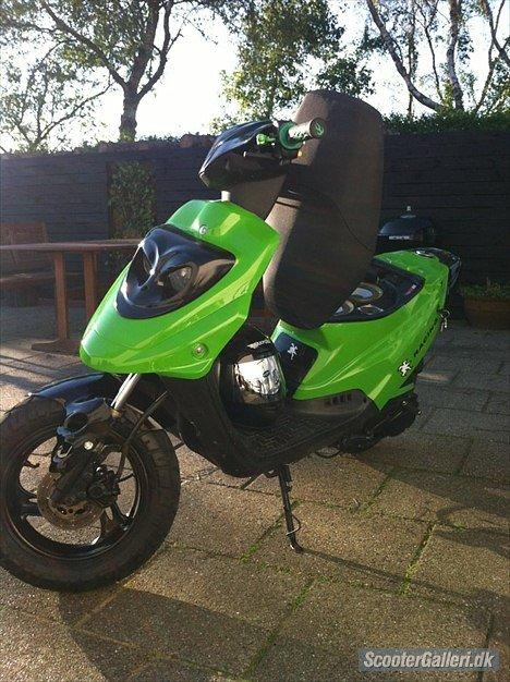 PGO hot 50 billede 13