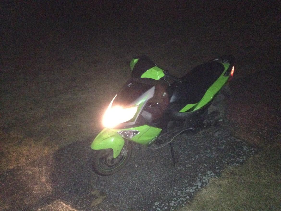 PGO G-max billede 15