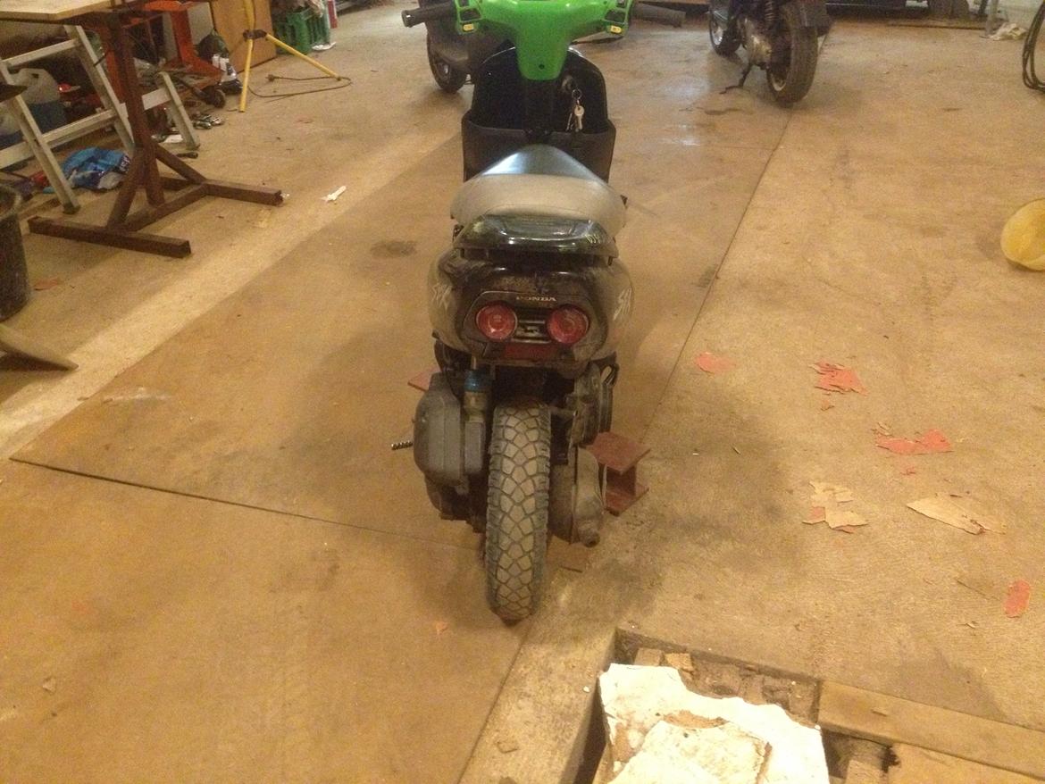 Honda SFX billede 10