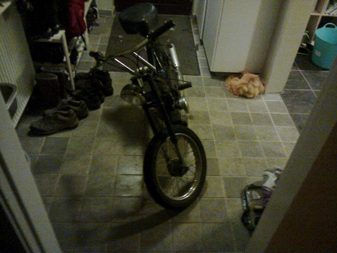 Puch Maxi K billede 6