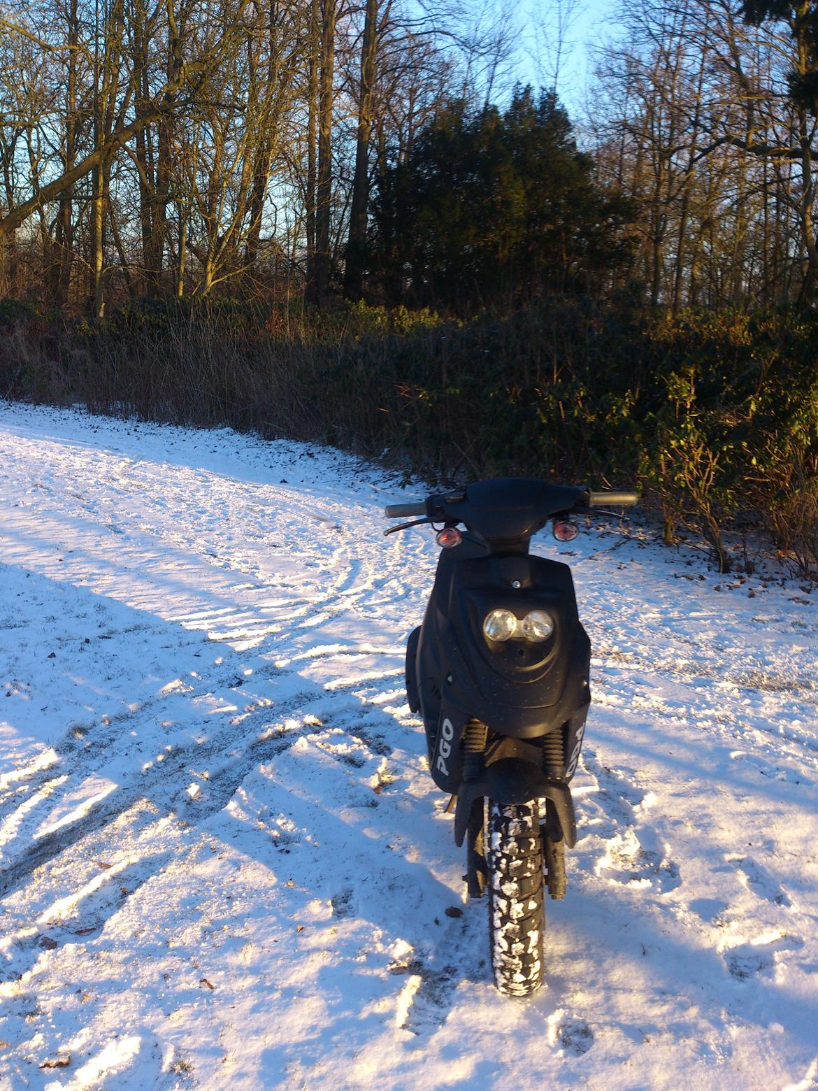 PGO Hot 50 billede 3