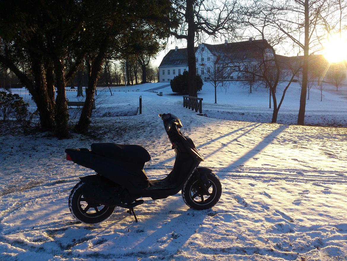 PGO Hot 50 billede 4