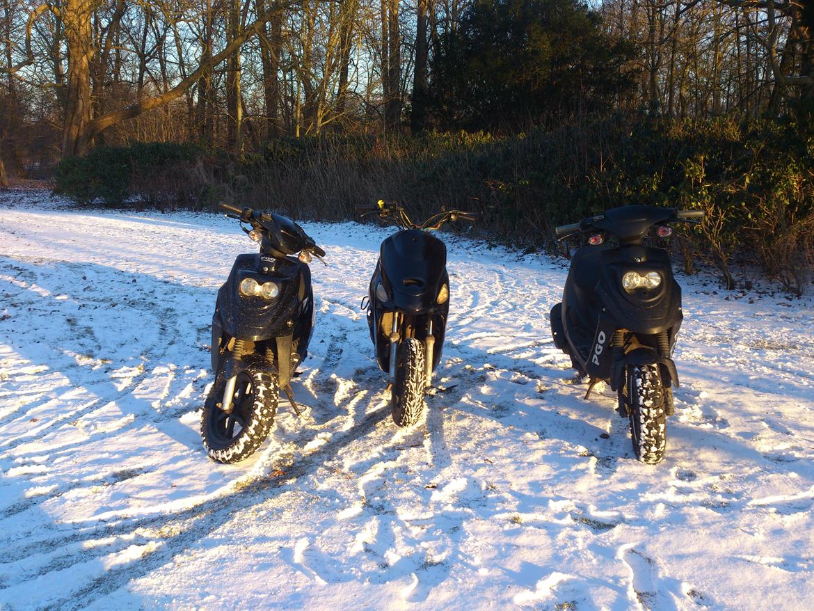 PGO Hot 50 billede 5