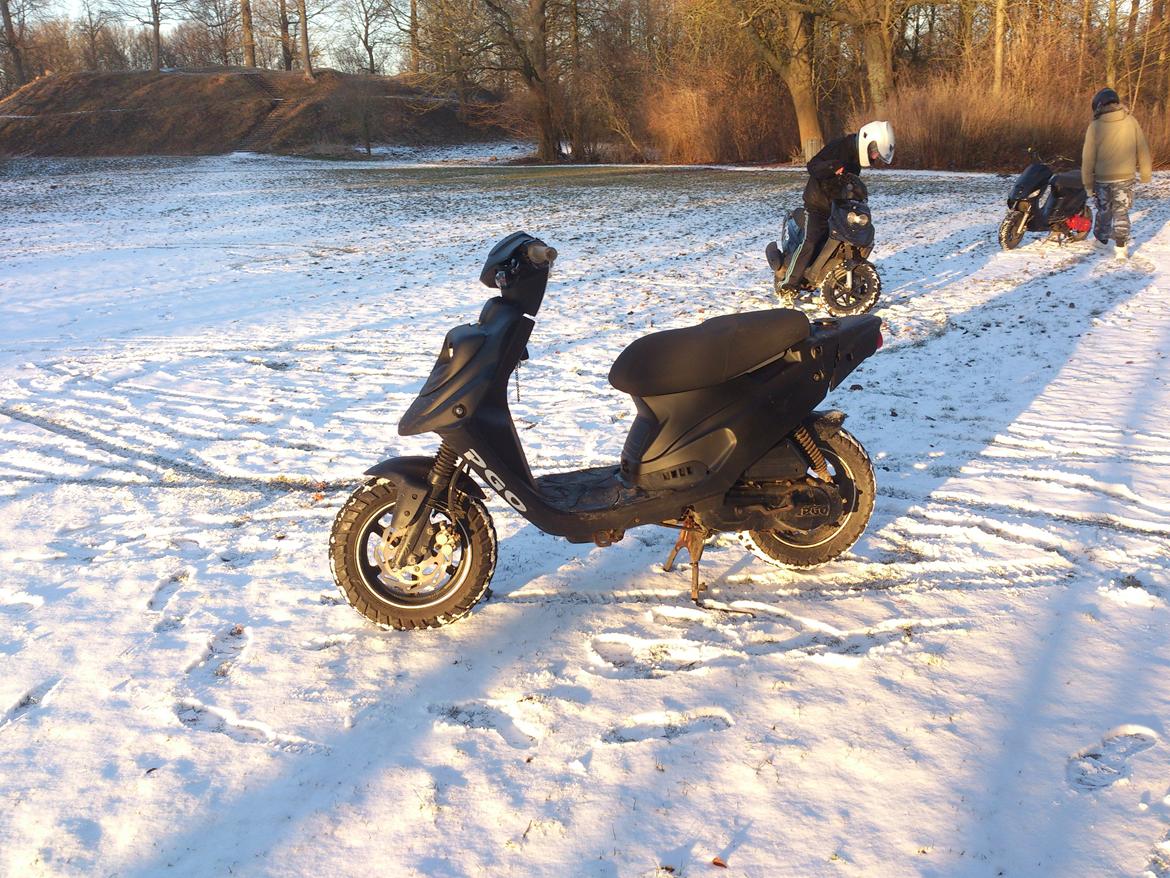 PGO Hot 50 billede 7