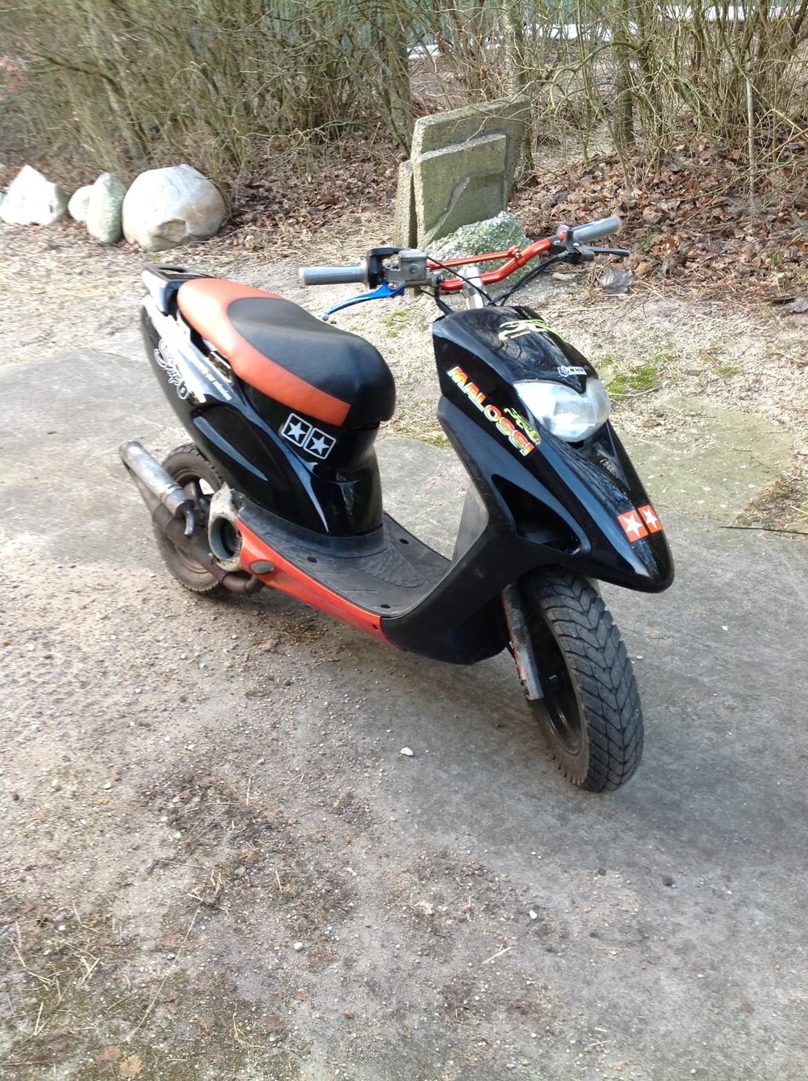 Honda Sfx billede 1