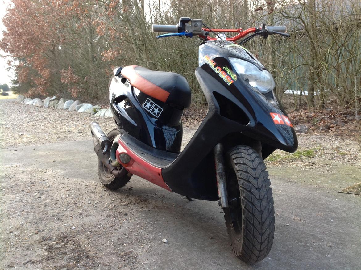 Honda Sfx billede 6