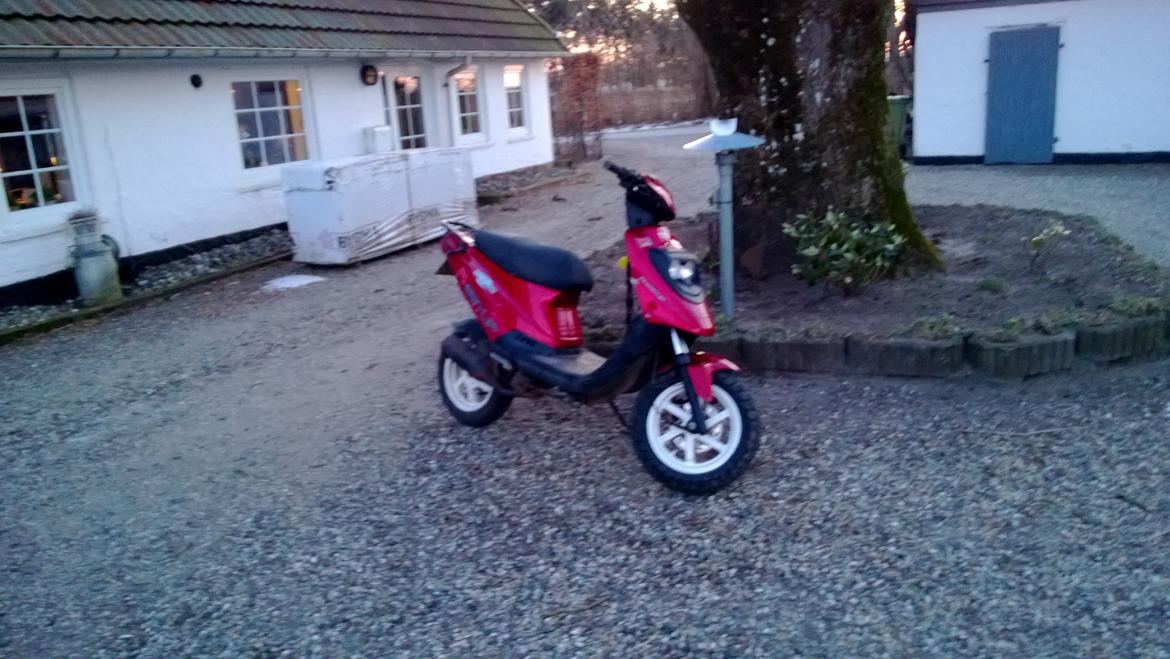 PGO Hot 50 billede 11